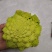 宝塔花椰菜塔花花菜绿花菜花椰菜法国花椰菜