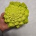 宝塔花椰菜塔花花菜绿花菜花椰菜法国花椰菜