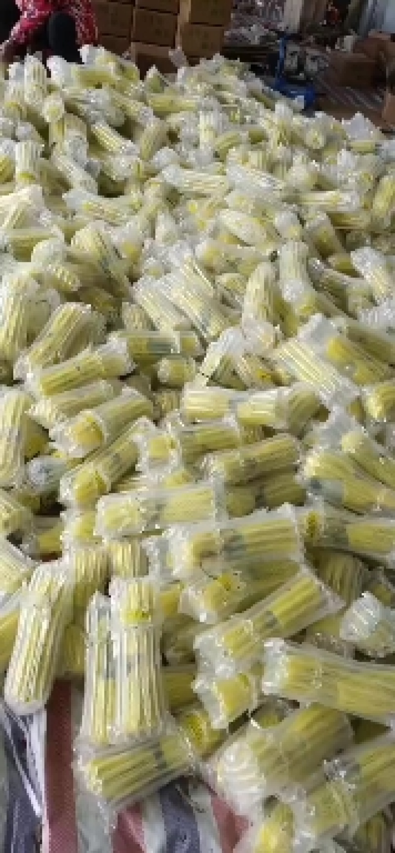 山东莘县，羊角蜜，大量上市货源充足，对接电商一件代发