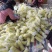 山东莘县，羊角蜜，大量上市货源充足，对接电商一件代发