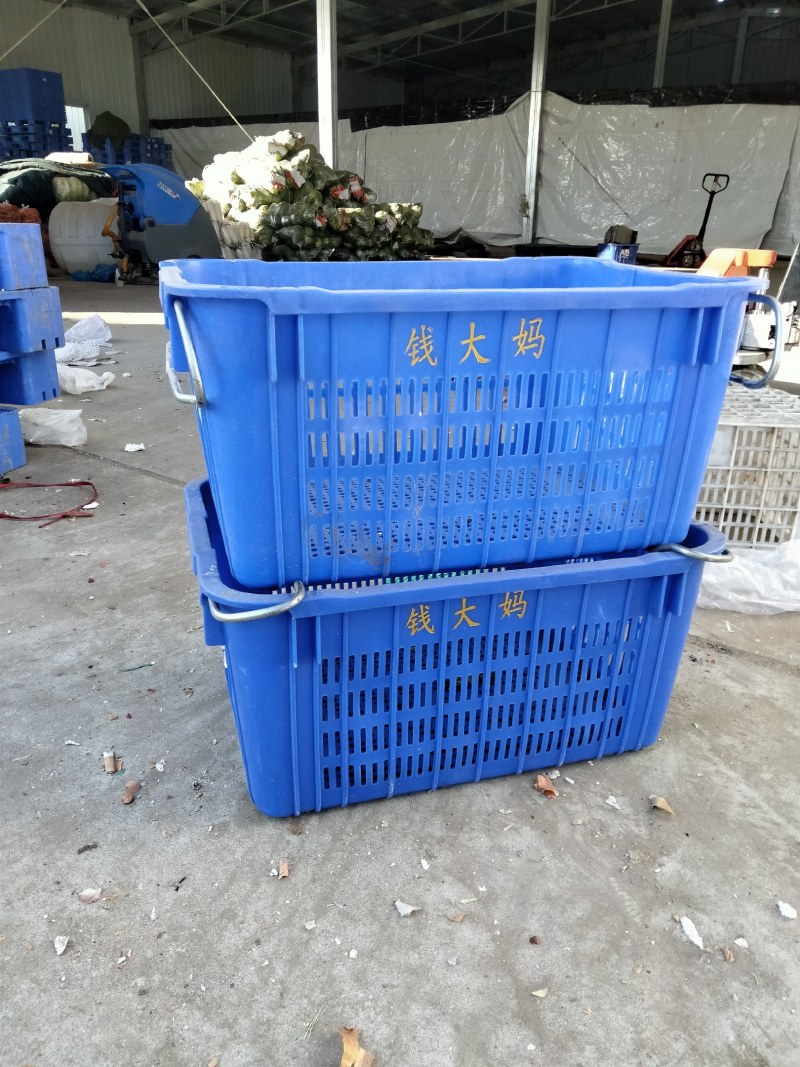 水果蔬菜周转筐地牛现货供应