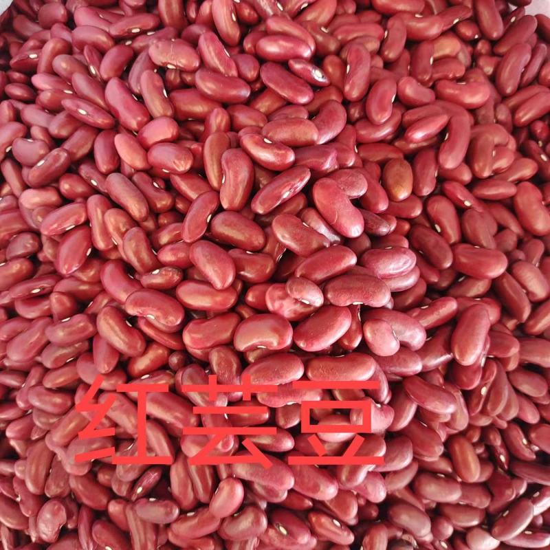 赤小豆现货供应（巴西泰国缅甸）赤小豆量大从优