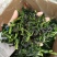 脱水万年青，脱水蔬菜，野菜，菜芯，