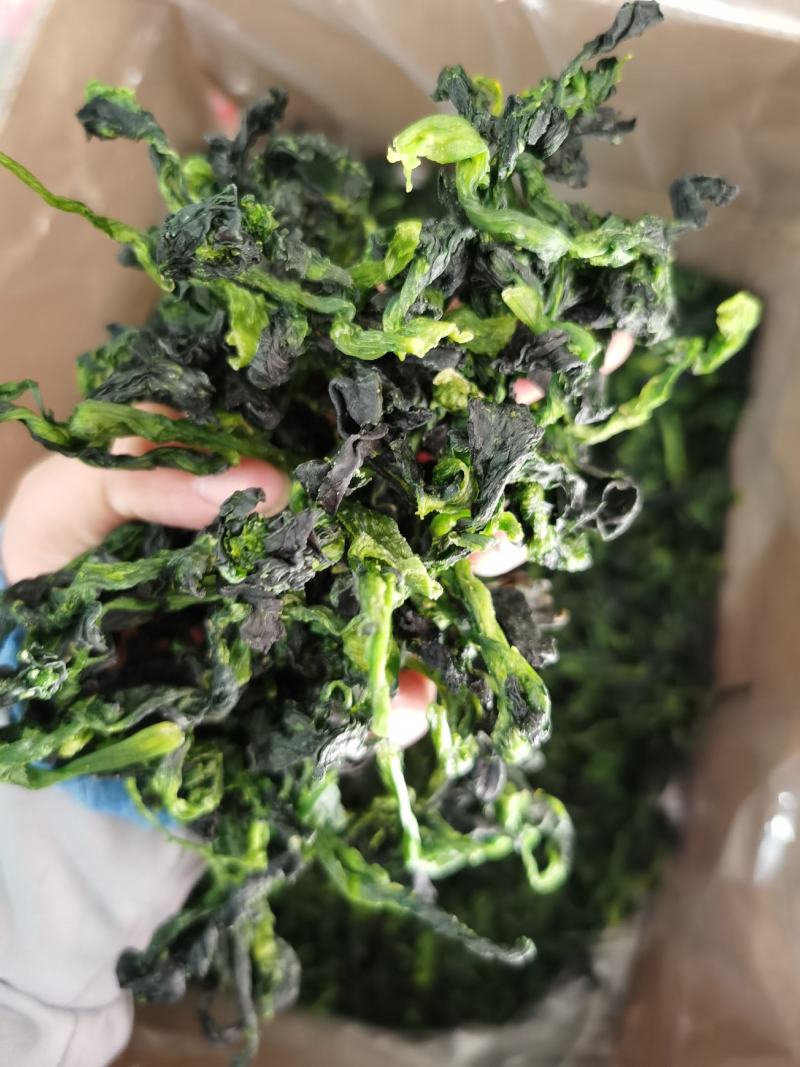 脱水万年青，脱水蔬菜，野菜，菜芯，