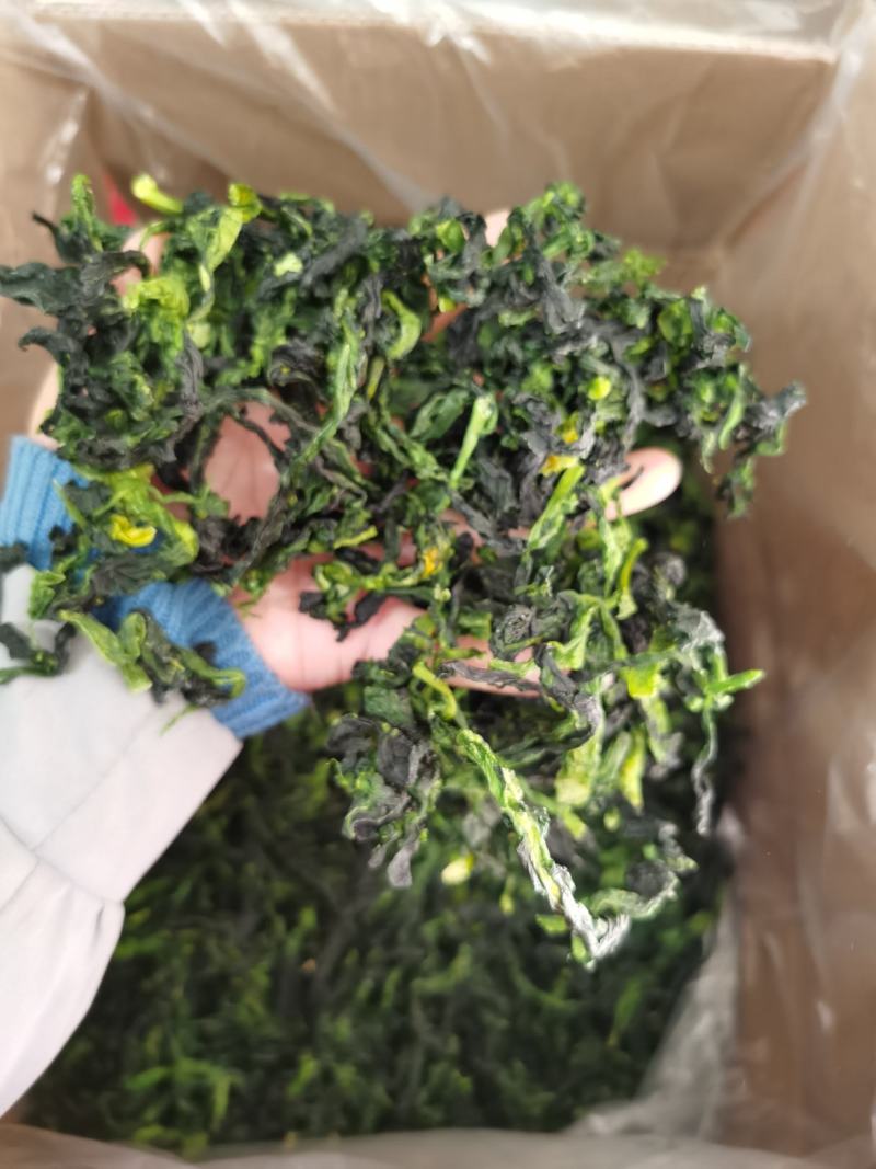 脱水万年青，脱水蔬菜，野菜，菜芯，