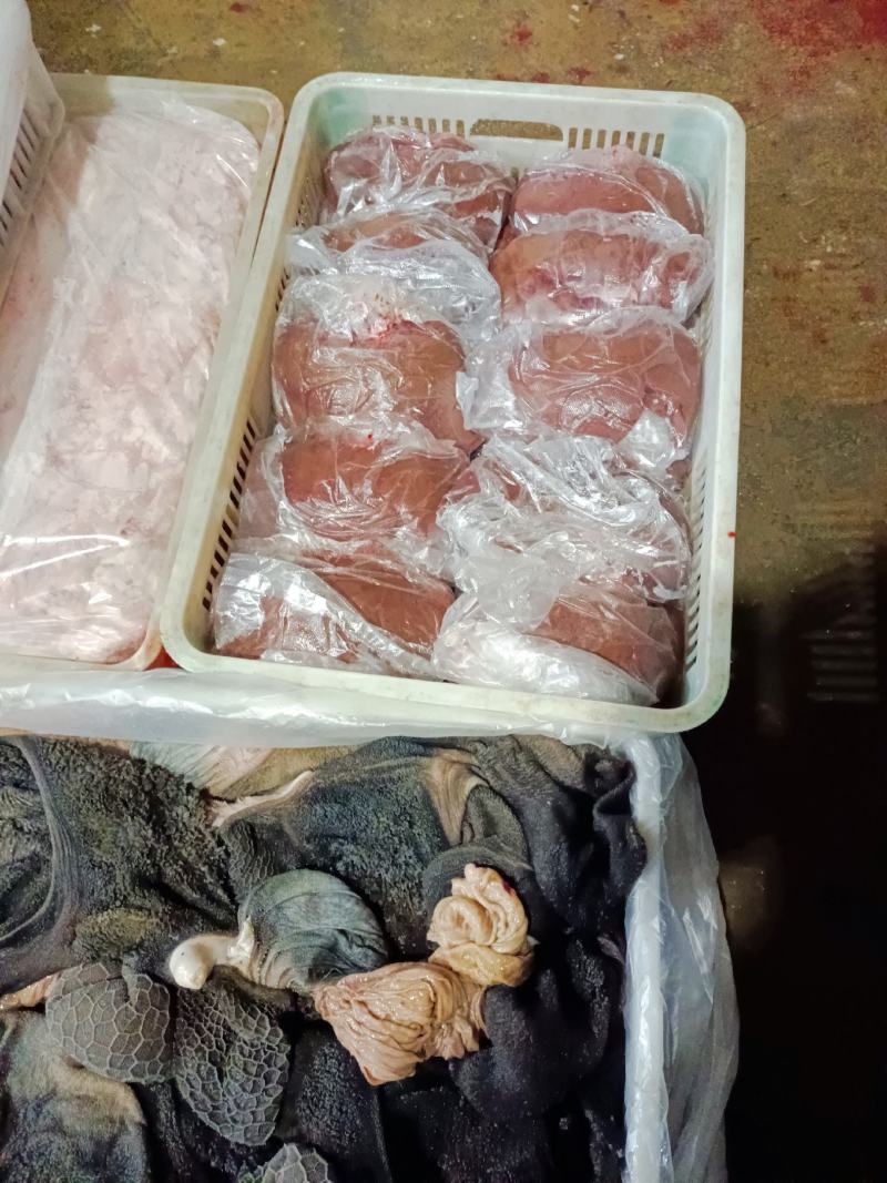 精品羊肝，去胆羊肝，可长期供货，可视频看货，保质保量。