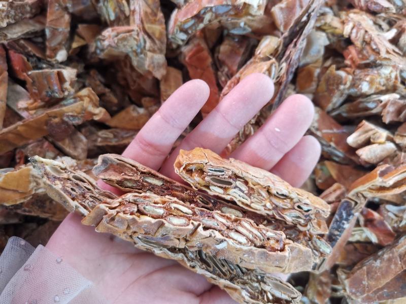 全瓜蒌全干无硫瓜蒌规格齐全产地直销可供大货