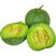 绿宝石甜瓜种子超甜香瓜种籽早熟薄皮甜瓜种孑春夏四季香瓜