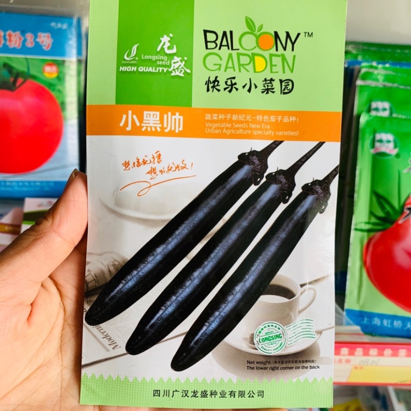 龙盛小黑帅茄子种子杂交一代新品种油黑亮丽黑长茄种子