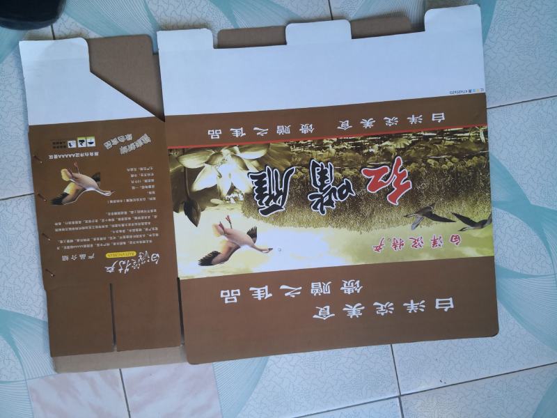 白条鸭一手货源价格低廉全程冷链车发货运费便宜发内蒙东北