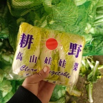 精品娃娃菜