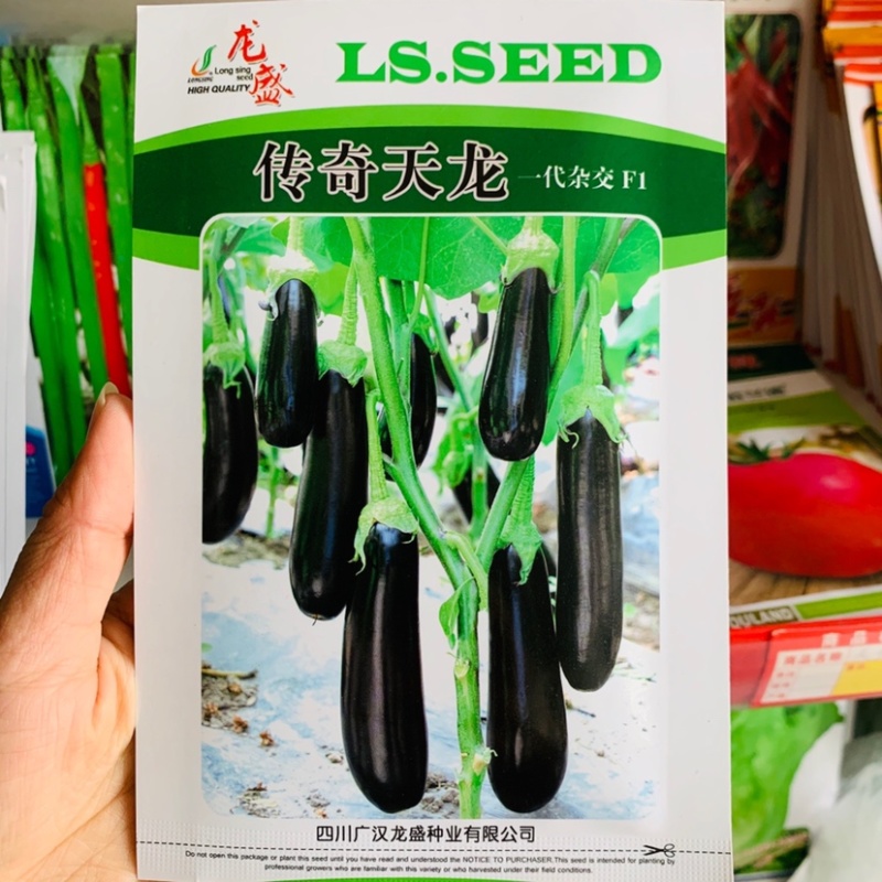 高端绿萼茄子种子四川龙盛传奇天龙一代杂交油黑亮丽茄子种籽