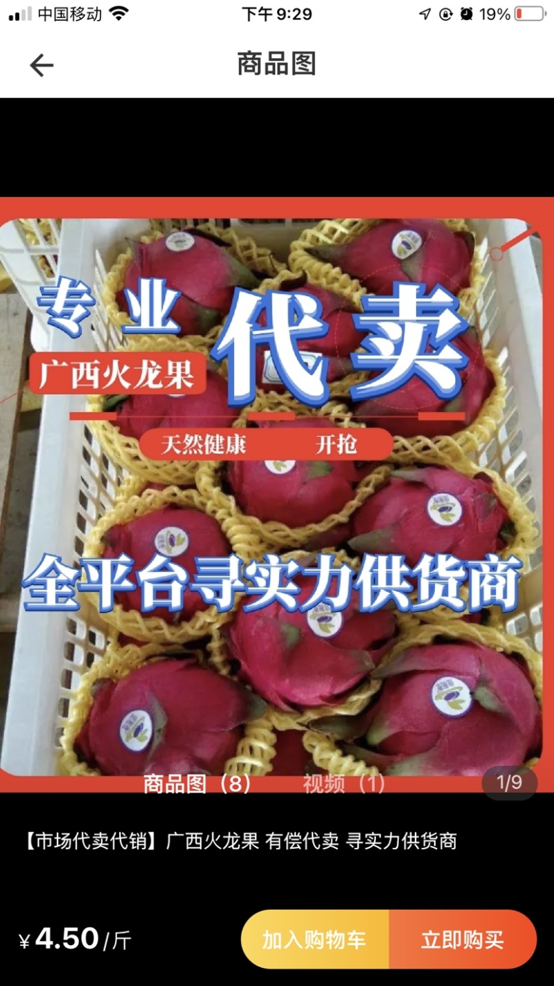 专业代销代购火龙果