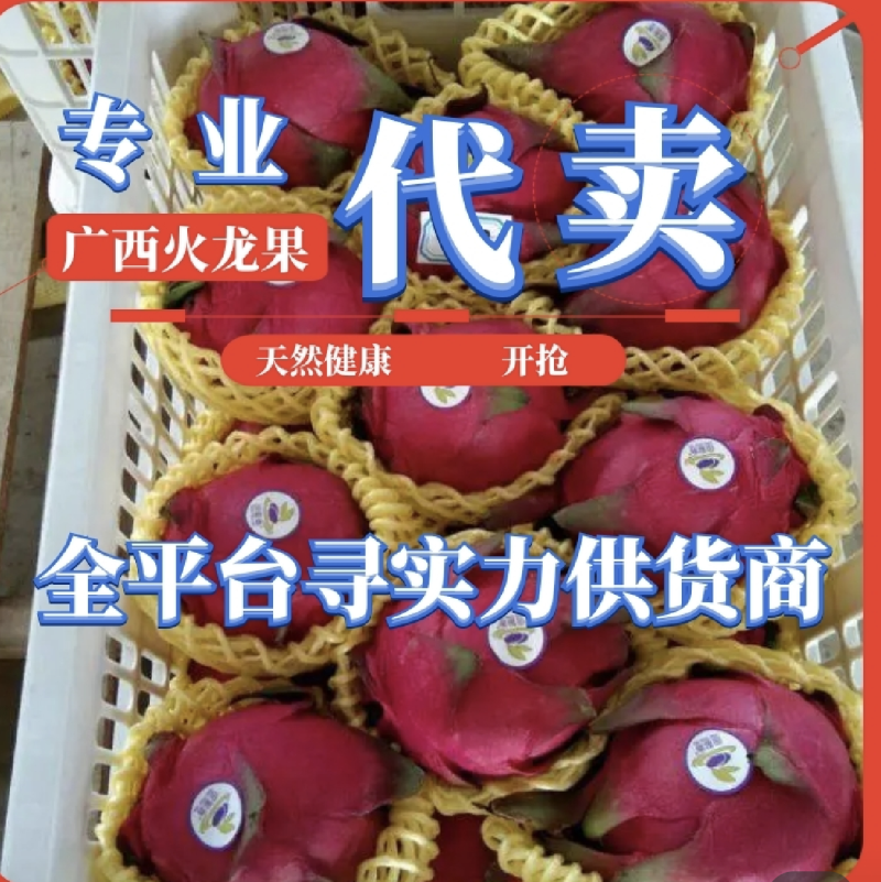 专业代销代购火龙果