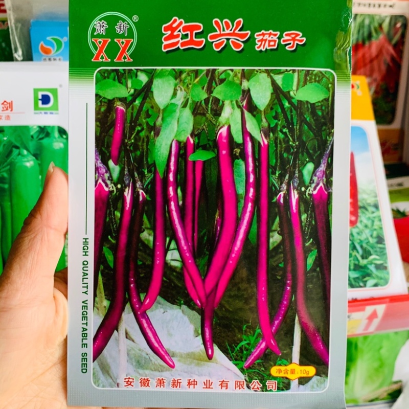萧新红兴茄子种子杭茄紫红色长线茄种子耐热耐湿产量高