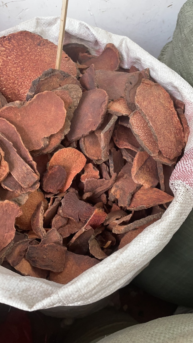 红药子红孩儿朱砂莲中药材