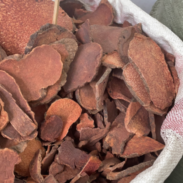 红药子红孩儿朱砂莲中药材