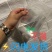 一次性餐盒饭盒上班族微波炉加热便当盒保鲜盒打包盒塑料盒透