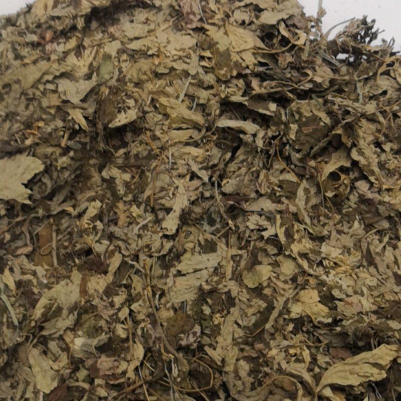 桐柏山三年陈艾叶