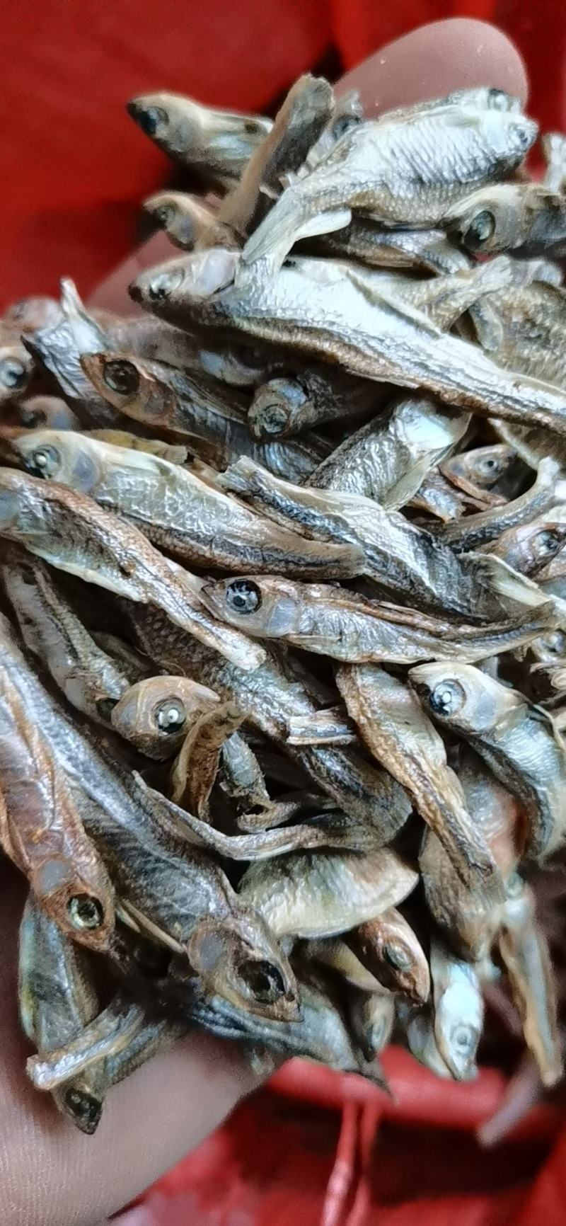 淡水小鱼干，水煮鱼干，淡盐，无盐2种规格3到5左右。现货