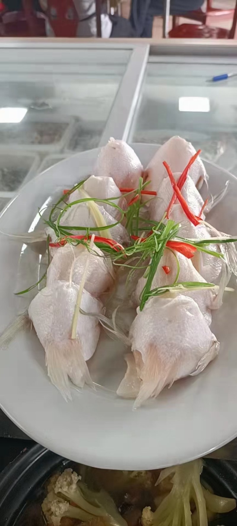 鲈鱼翅肉质鲜美质优价廉老板们的赚钱神器欢迎询价