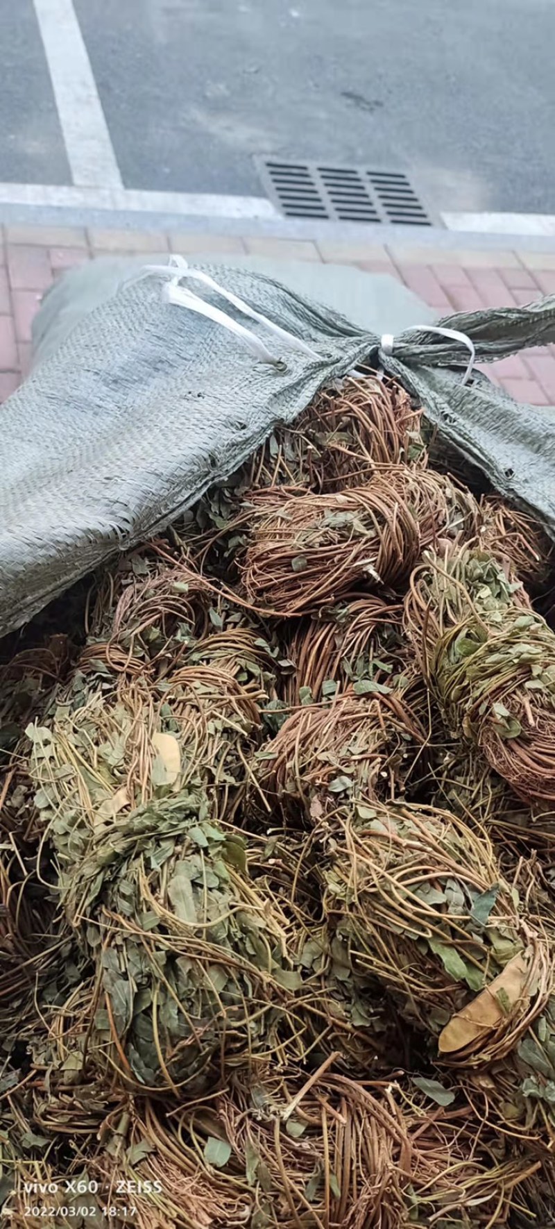 鸡骨草本地7月份新货无硫磺纯生大部分有叶特级青绿省内包