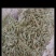 广西桂林市厂家直销，统糠，混合糠，稻壳长期有货‘