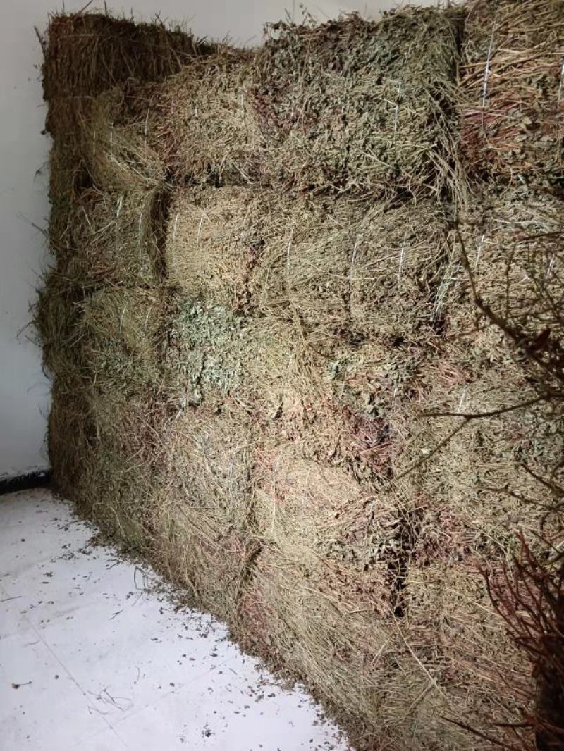 无根仙鹤草，颜色青绿1，质量满意，