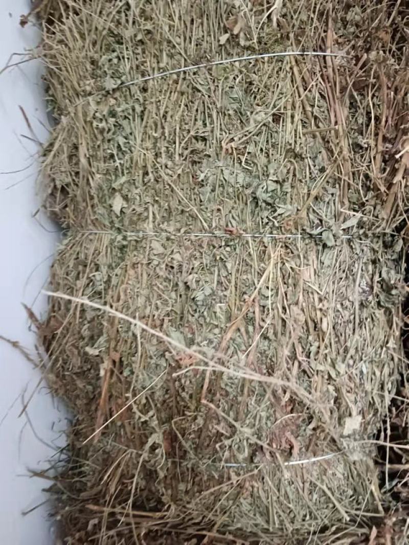 无根仙鹤草，颜色青绿1，质量满意，