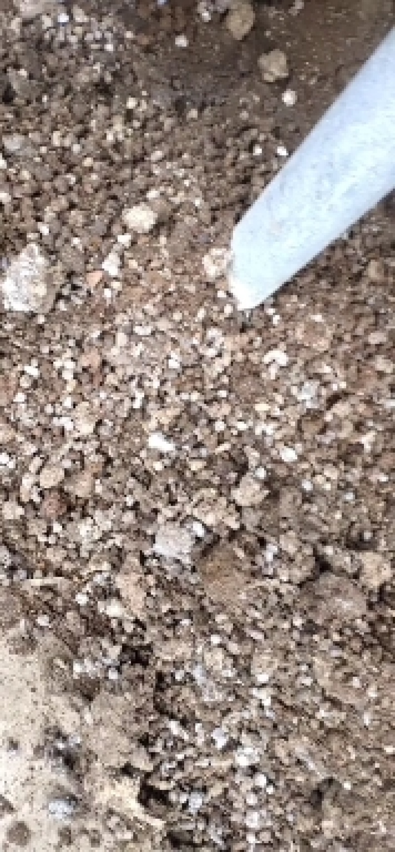 山东济宁发酵羊粪有机肥货源充足全国发货