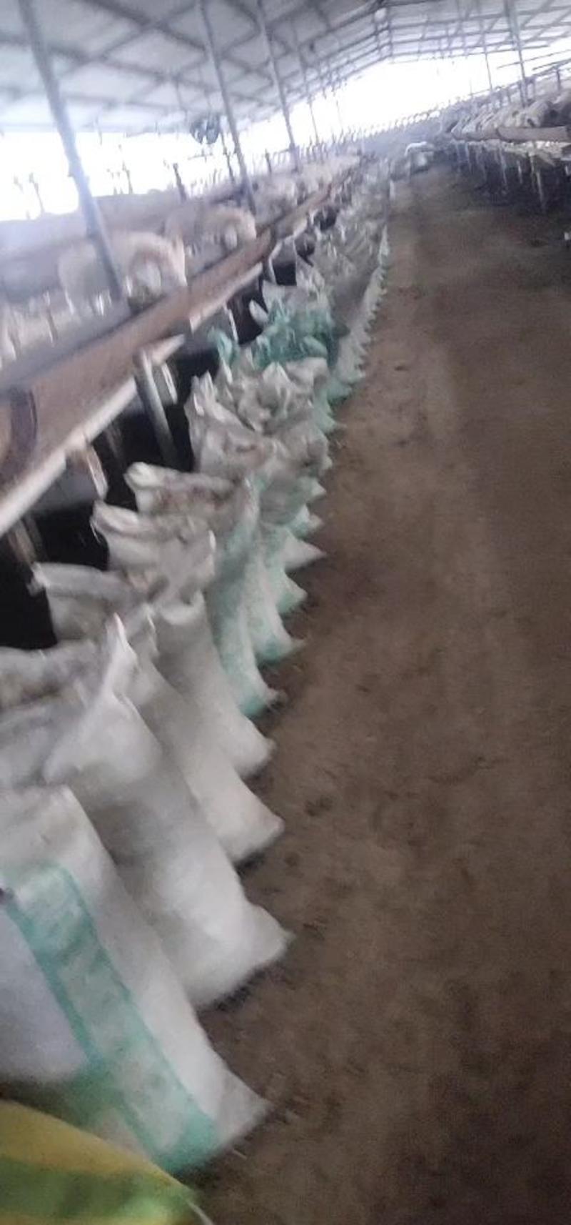 山东济宁发酵羊粪有机肥货源充足全国发货