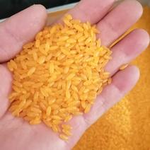 东北粗粮黄金米天然无色素，绿色健康