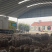 土豆v7希森荷兰十五土豆大量上市