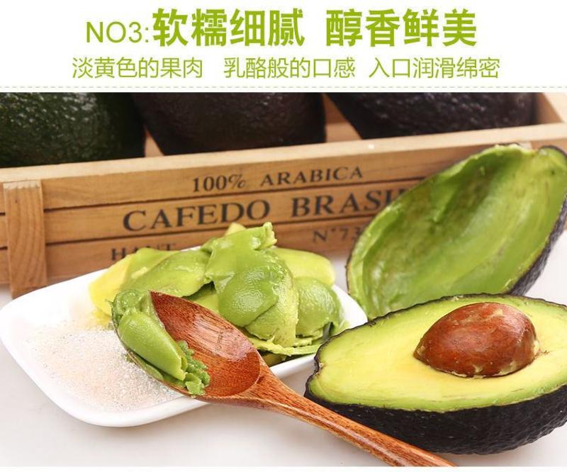 【一件代发】牛油果新鲜水果宝宝辅食大果批发整箱包邮奶茶店