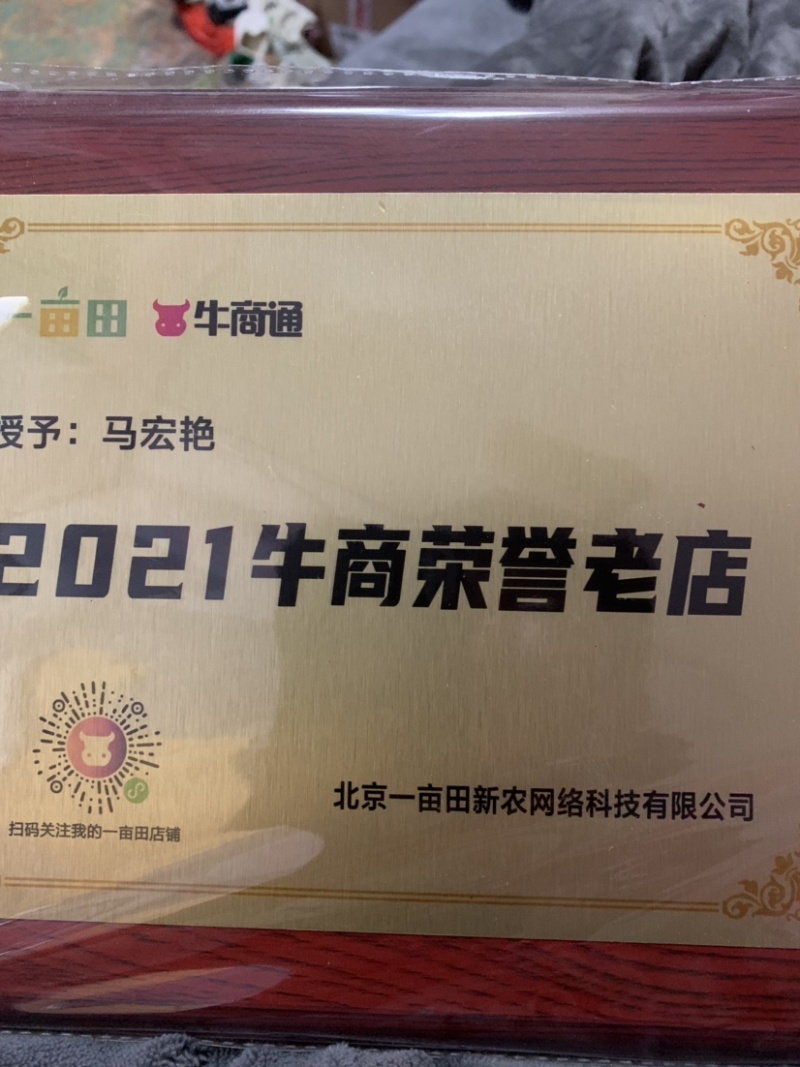 精品黄心大白菜大量供应，现砍现卖，无烧心，无起苔保质保量