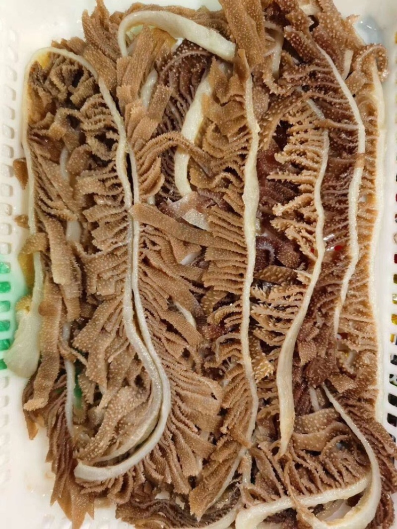 精品黑千层毛肚