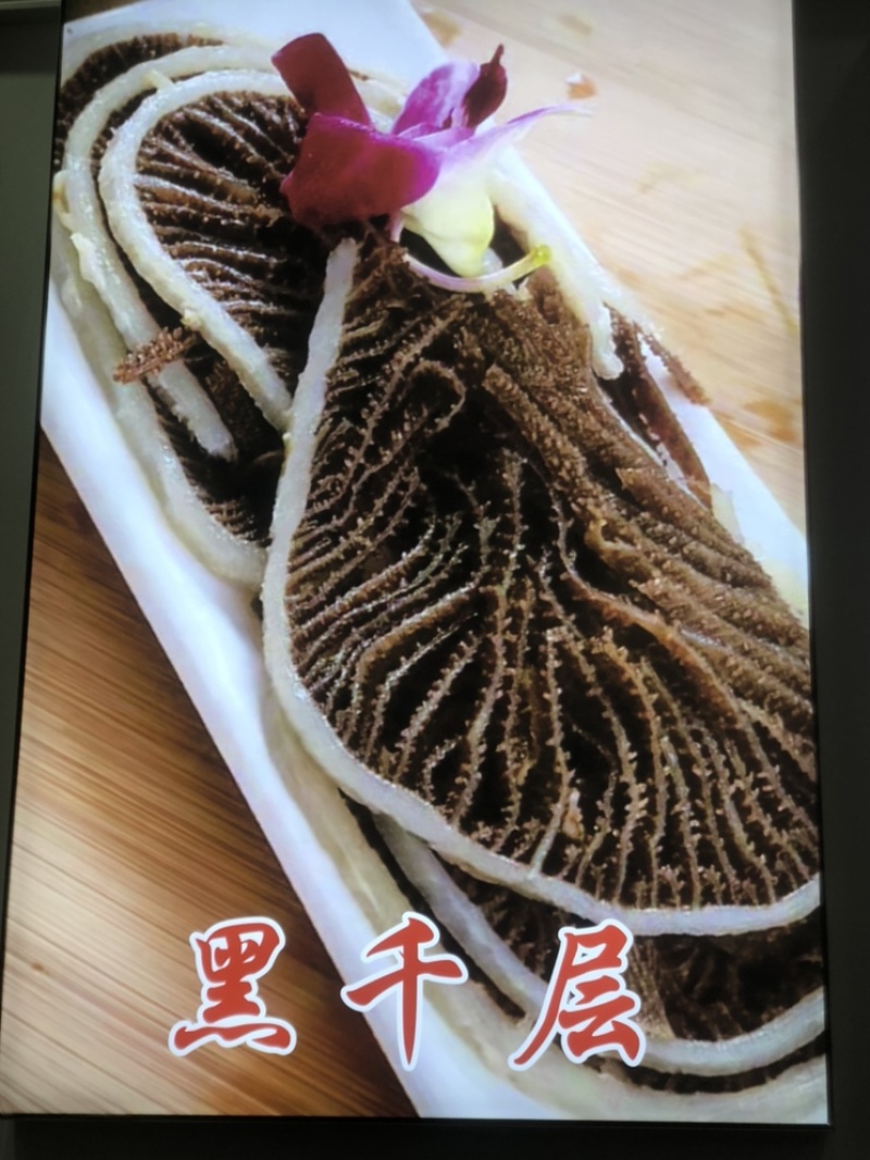 精品黑千层毛肚