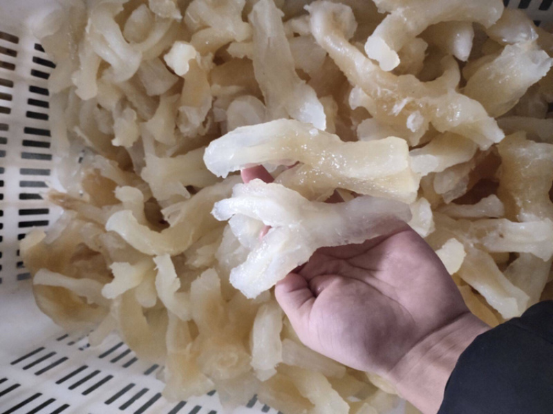 水发牛蹄筋