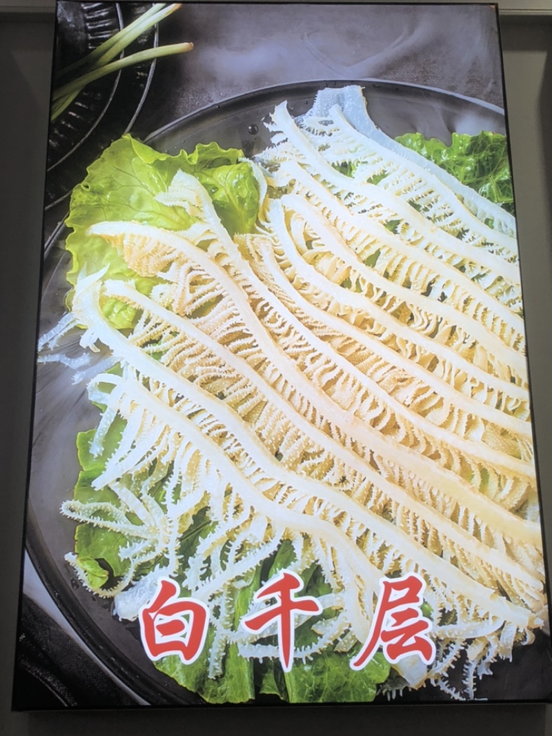 水发白千层毛肚