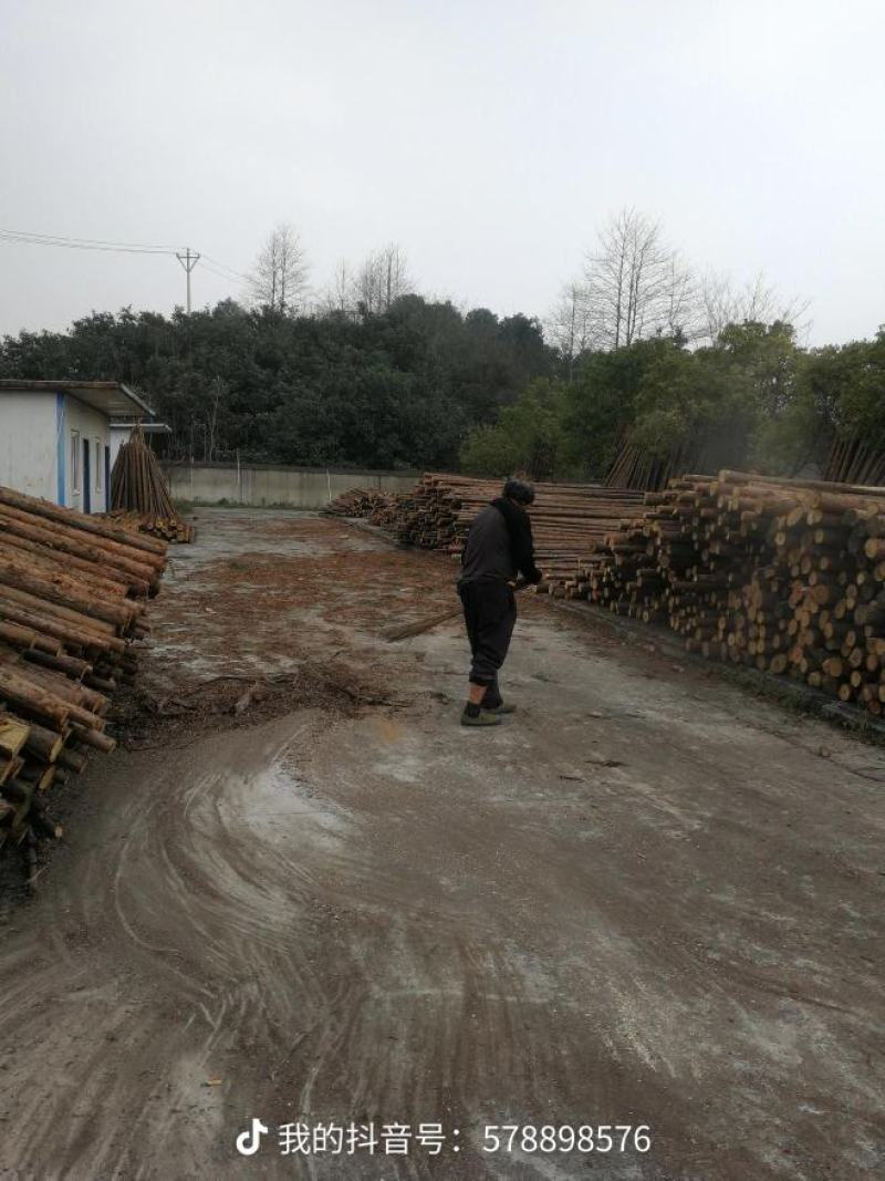 热销中产地批发，松木杆，河道桩，杉木园林绿化杆，产地热售