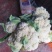 绿色无公害花菜