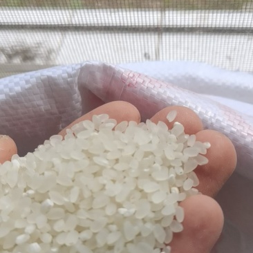 盘锦大米