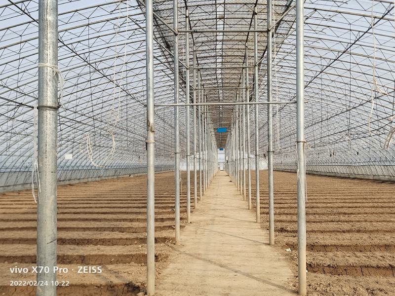 蔬菜大棚简易大棚冷棚小拱棚成套大棚蘑菇棚大棚骨架春秋棚