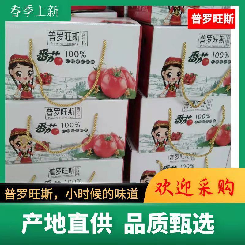 普罗旺斯西红柿番茄万亩基地货源量大从优欢迎来电咨询