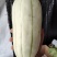 高石脆瓜