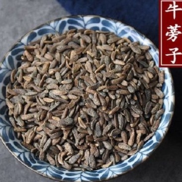 牛蒡子新货牛旁子牛蒡子大力子牛蒡籽中药材包邮