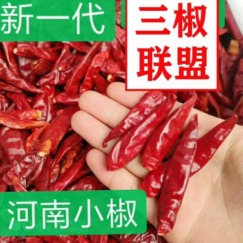 河南天鹰小椒干海椒干红辣椒微辣浓香火锅原料。提色增香