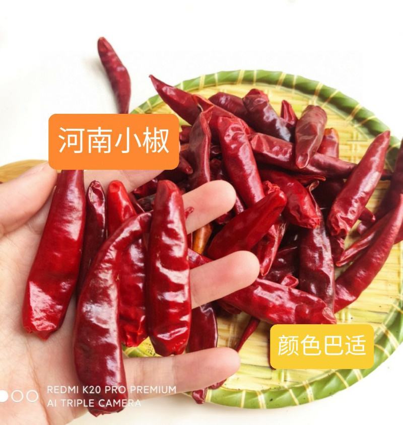 河南天鹰小椒干海椒干红辣椒微辣浓香火锅原料。提色增香