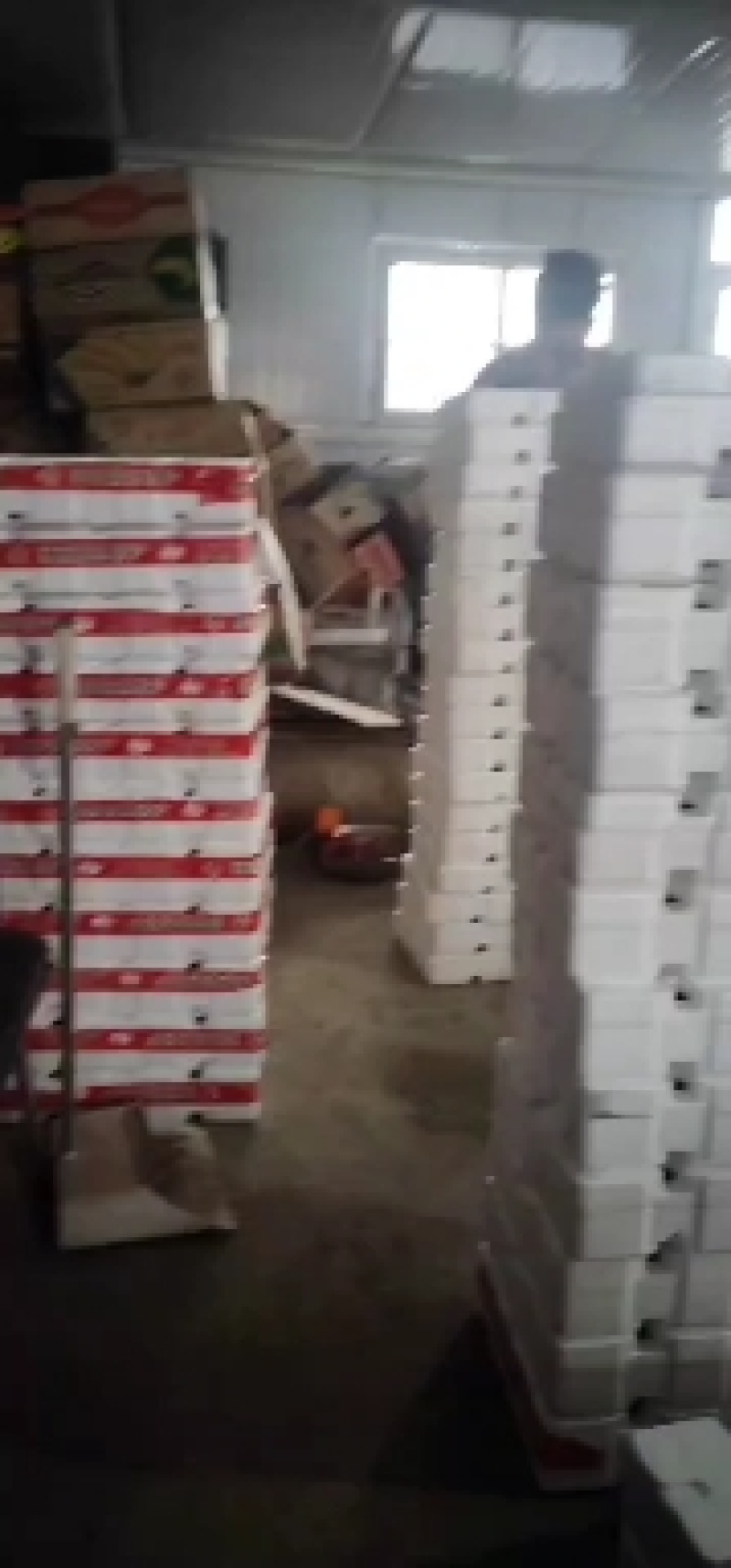 来自田间地头的美味，当季热卖口感甘甜的精品小番茄