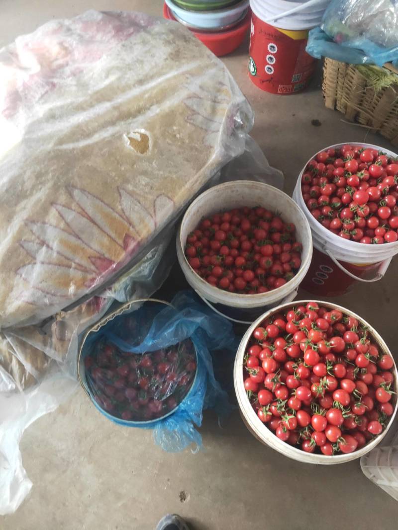 来自田间地头的美味，当季热卖口感甘甜的精品小番茄